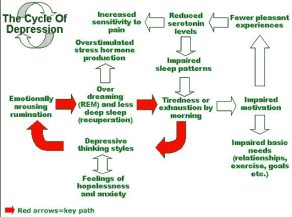 The Cycle of Depression