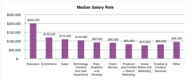 At $200,000, the median salary of Senior Digital Executives is markedly higher than that of the second most highly paid digital professionals .